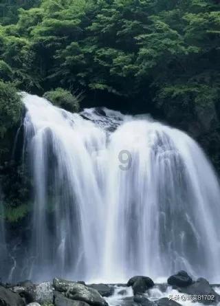 指挥官营救